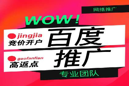 百度竞价推广托管实战案例解析